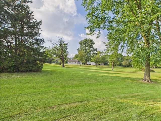 693 Friday Rd, Arcanum, OH 45304 - photo 39
