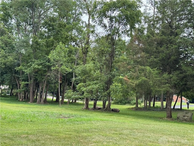 3659 Winston Ln, West Alexandria, OH 45381 - photo 4