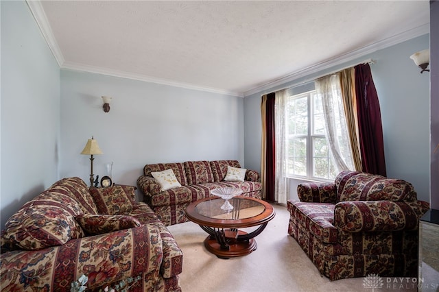 213 Bentridge Dr, Clearcreek Twp, OH 45458 - living room with crown molding and carpet floors