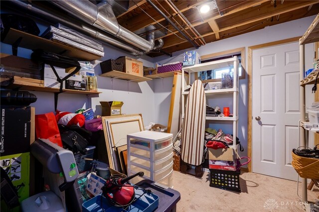 213 Bentridge Dr, Clearcreek Twp, OH 45458 - view of storage