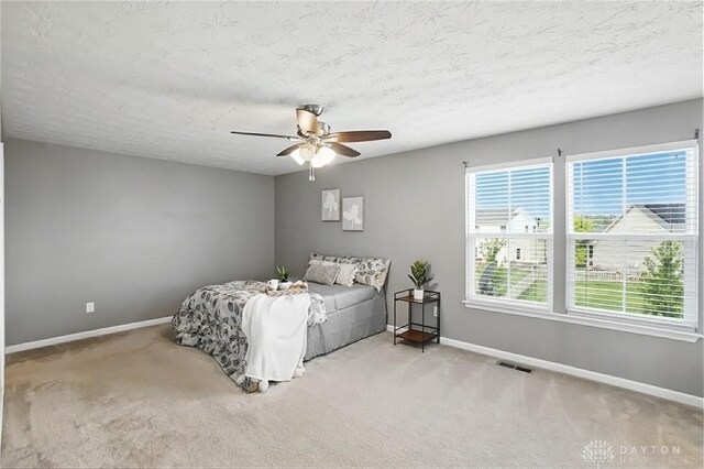 3230 Dry Run St, Tipp City, OH 45371 - photo 20