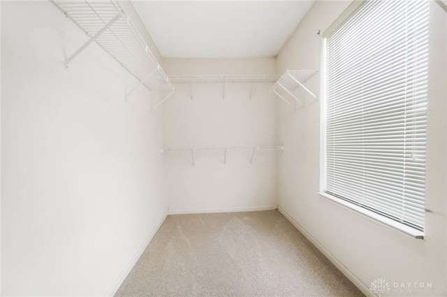 7005 Geary Pl, Dayton, OH 45424 - photo 41