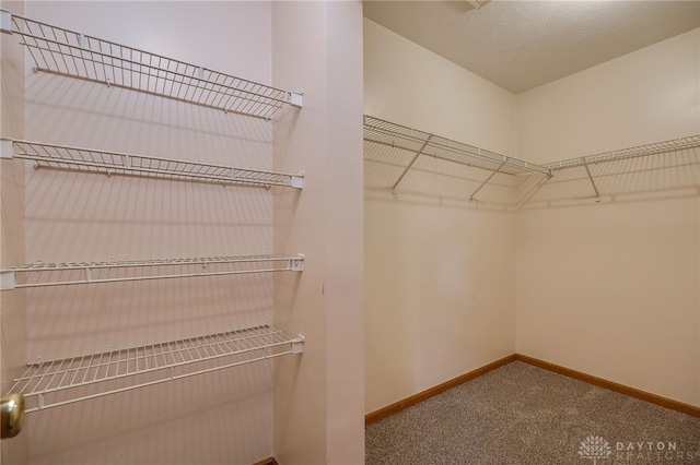 71 N Alder St, Dayton, OH 45417 - photo 21