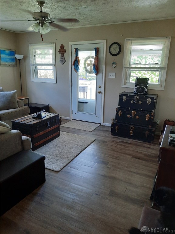 288 Clark Rd, New Vienna, OH 45159 - photo 6