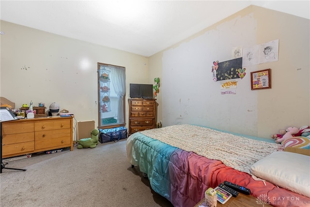 515 W Columbus St, West Liberty, OH 43357 - photo 14