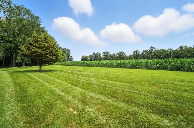 10660 Eltzroth Rd, Harlan Twp, OH 45122 - photo 39