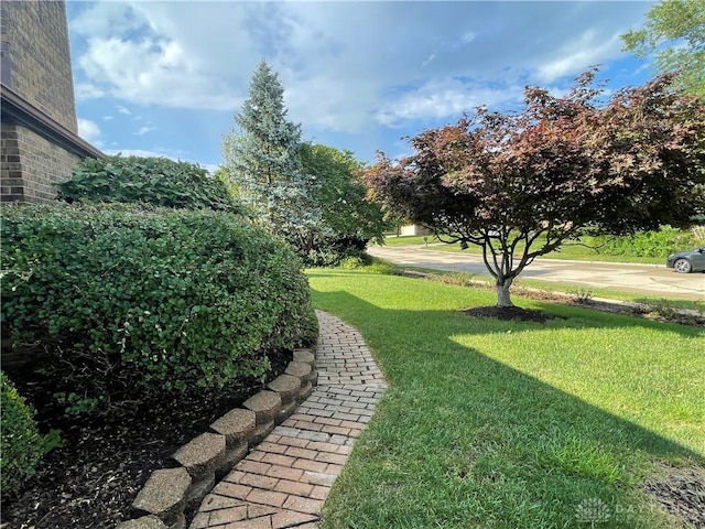 3301 Little York Rd, Dayton, OH 45414 - photo 11