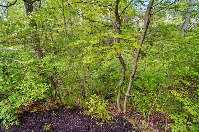 1368 Shawnee Run Dr, Maineville, OH 45039 - photo 54