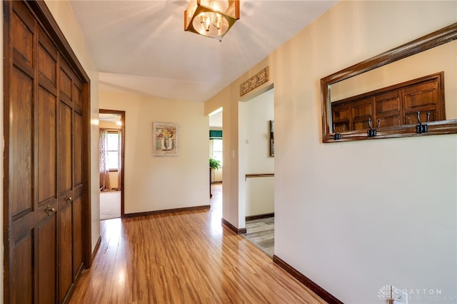 4311 Lone Wolf Ave, Springfield, OH 45502 - photo 22