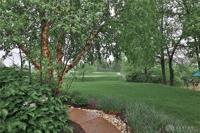 7112 Larkspur Ln, Liberty Twp, OH 45044 - photo 36