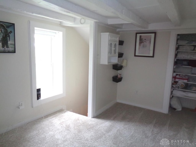 2121 Mccue Rd, Laura, OH 45337 - photo 41