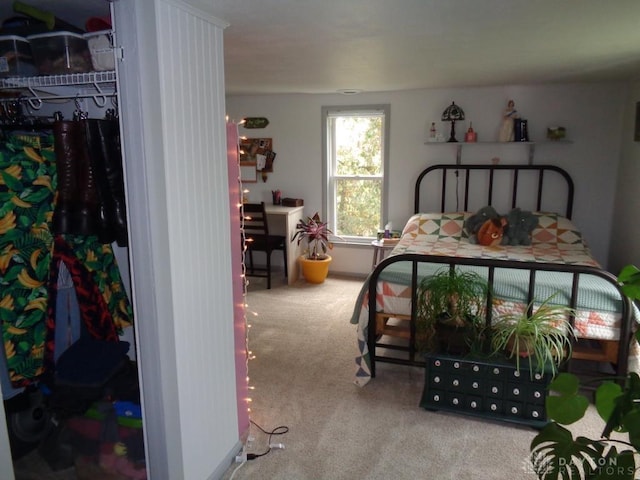2121 Mccue Rd, Laura, OH 45337 - photo 42