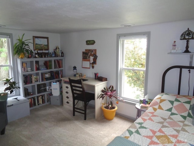 2121 Mccue Rd, Laura, OH 45337 - photo 43
