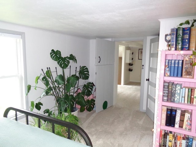 2121 Mccue Rd, Laura, OH 45337 - photo 46