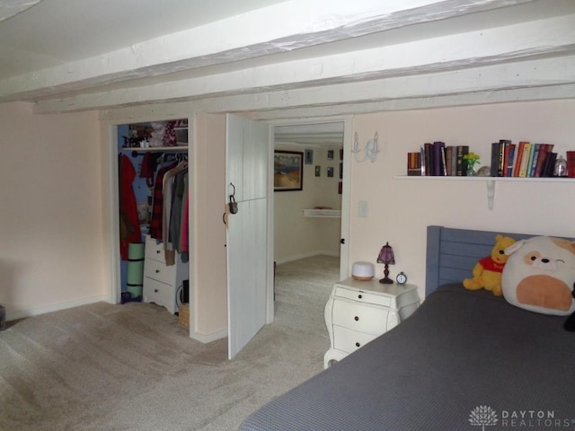 2121 Mccue Rd, Laura, OH 45337 - photo 48