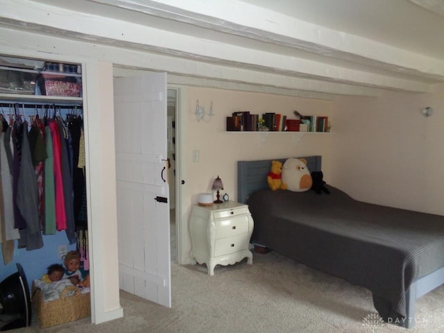 2121 Mccue Rd, Laura, OH 45337 - photo 51