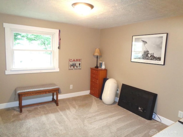 2121 Mccue Rd, Laura, OH 45337 - photo 17