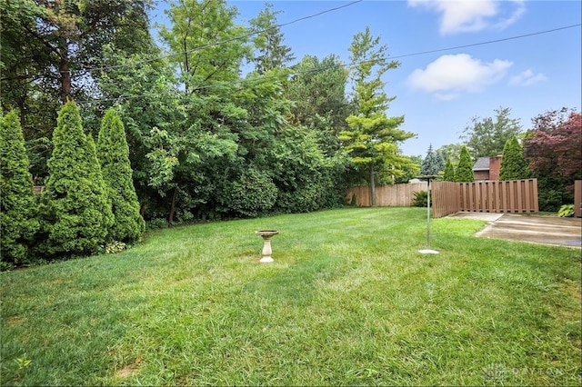 417 Randler Ave, Vandalia, OH 45377 - photo 28