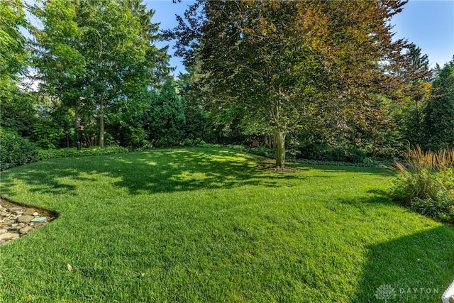 116 W Thruston Blvd, Oakwood, OH 45419 - photo 60