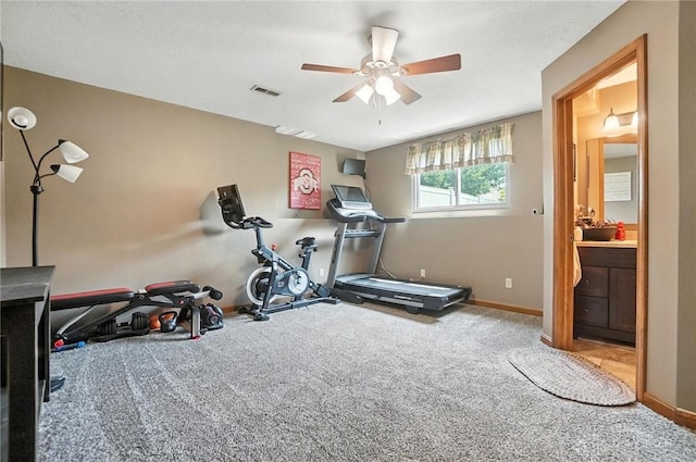 538 Cheyenne Ct, Wilmington, OH 45177 - photo 52