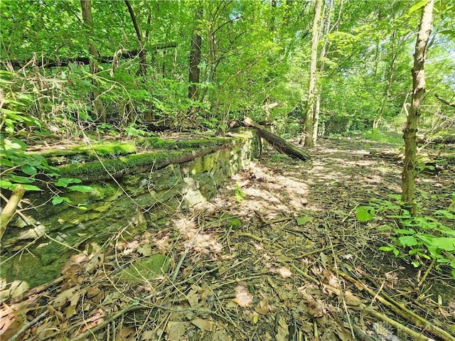 621 Quarry Rd, Silver Creek Twp, OH 45335 - photo 48
