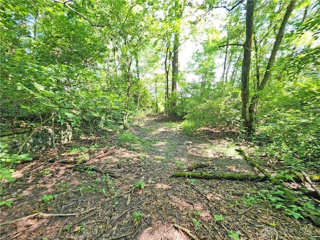 621 Quarry Rd, Silver Creek Twp, OH 45335 - photo 49