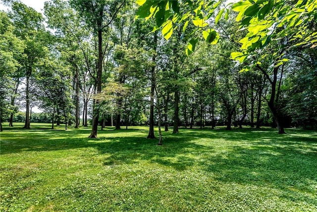 1711 Mcclellan Rd, Xenia, OH 45385 - photo 9