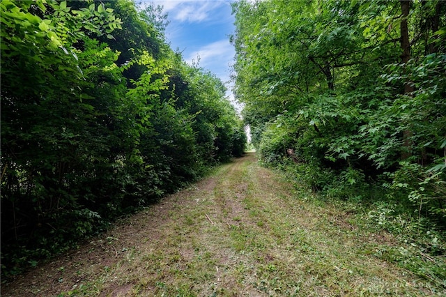 4004 Sintz Rd, Springfield, OH 45504 - photo 2