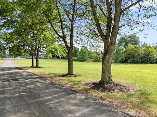8101 W National Rd, New Carlisle, OH 45344 - photo 10
