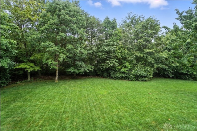 7983 Woodbridge Ct, Springboro, OH 45066 - photo 79