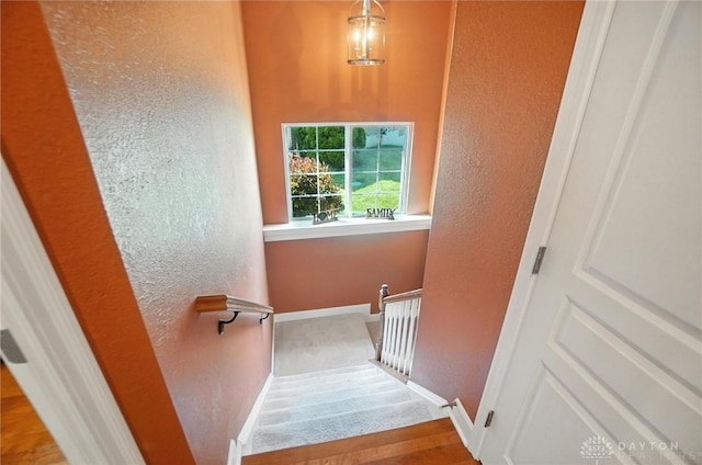 1359 Rose Creek Ct, Lebanon, OH 45036 - photo 31