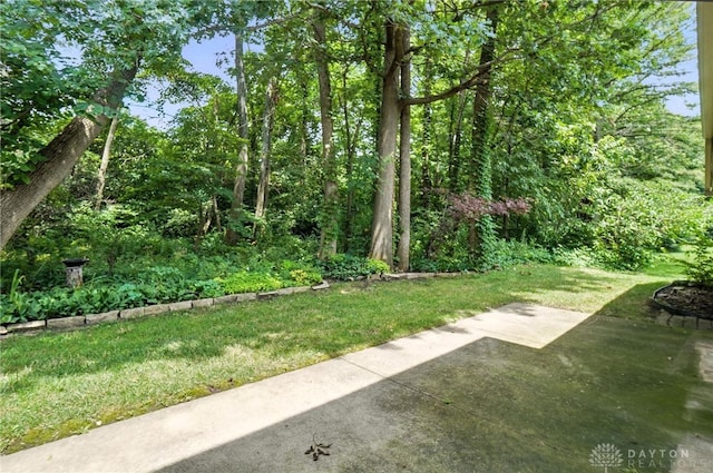 1241 Autumn Wind Ct, Washington Twp, OH 45458 - photo 44