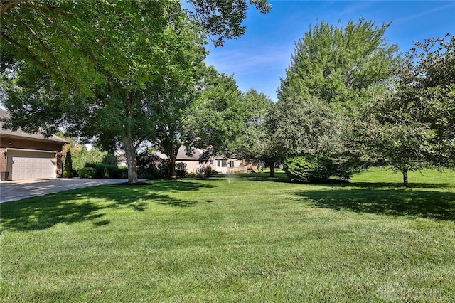 9139 Indian Springs Ct, Washington Twp, OH 45458 - photo 56
