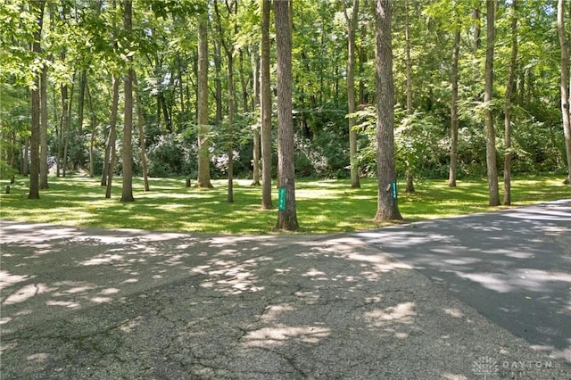 2780 E Spring Valley Pike, Washington Twp, OH 45458 - photo 74