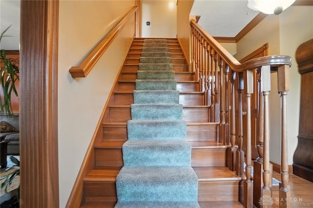7400 Weaver Rd, Germantown, OH 45327 - photo 40