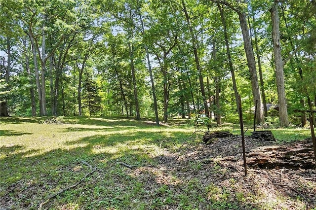 13100 Prichard Rd, Germantown, OH 45327 - photo 46