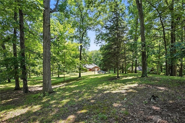 13100 Prichard Rd, Germantown, OH 45327 - photo 47