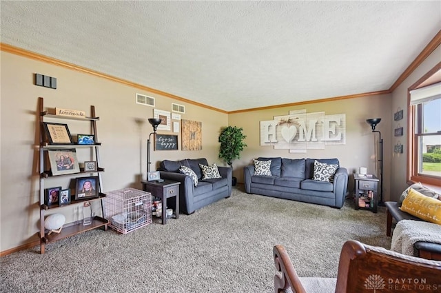 1069 Shirley Dr, Xenia, OH 45385 - photo 6