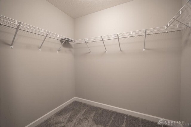 7125 Pisgah Rd, Tipp City, OH 45371 - photo 26
