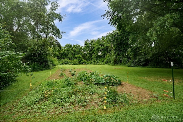 9271 State Route 48, Clearcreek Twp, OH 45458 - photo 49