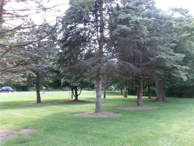 8895 E State Route 40, New Carlisle, OH 45344 - photo 2