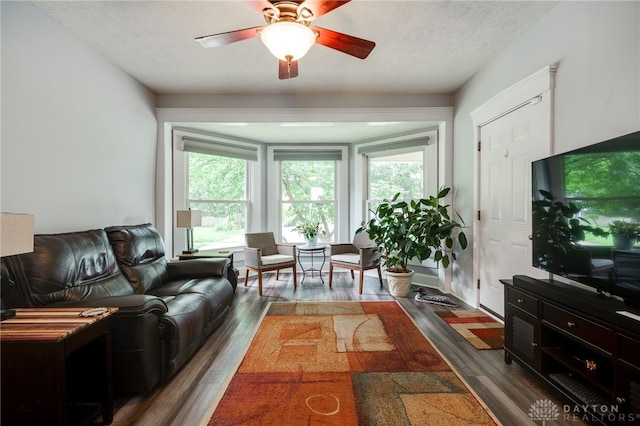 435 S Walnut St, Troy, OH 45373 - photo 6