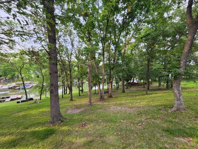 Listing photo 3 for 32101 Falcon Dr, Unionville MO 63501