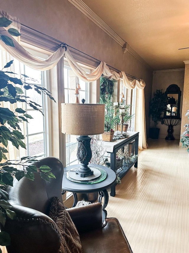 living area with crown molding