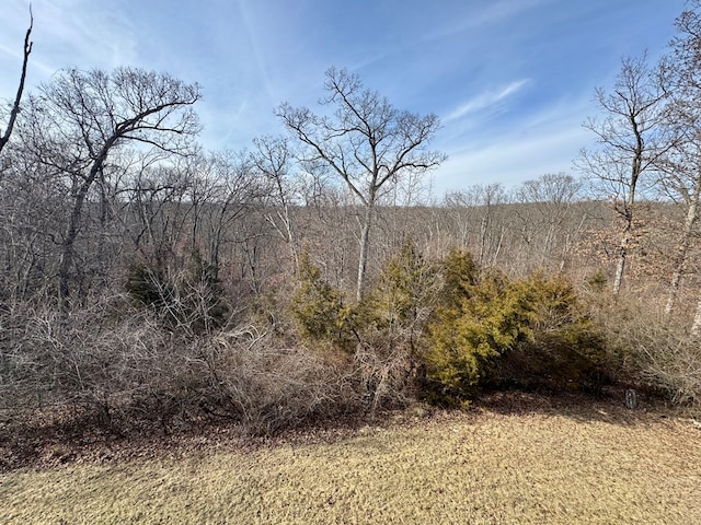 view of local wilderness