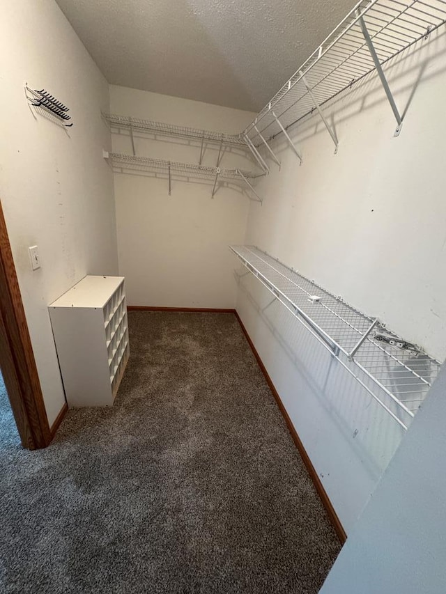 20858 Oak View Trl, Kirksville, MO 63501 - spacious closet featuring carpet