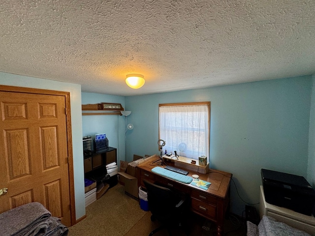 office space with carpet flooring and a textured ceiling