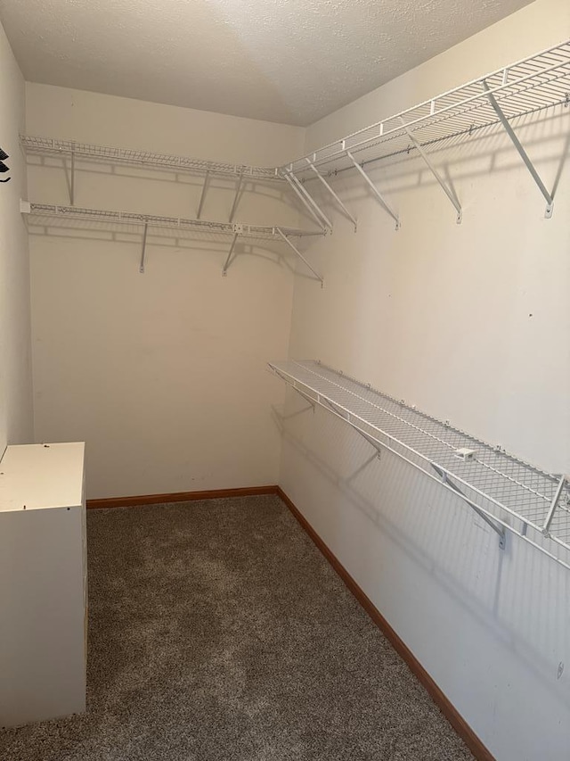 20858 Oak View Trl, Kirksville, MO 63501 - spacious closet featuring carpet flooring