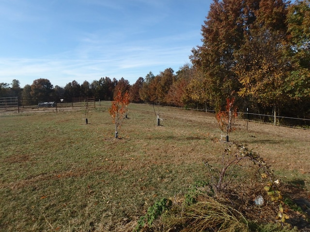 view of yard featuring a rural view