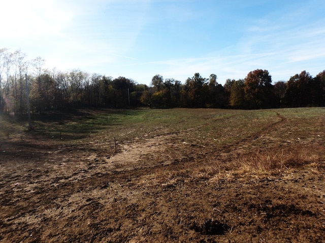 view of landscape featuring a rural view